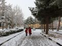 گزارش تصویری از روز 16 آذر اولین برف در دانشگاه شاهرود