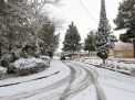 گزارش تصویری از روز 16 آذر اولین برف در دانشگاه شاهرود