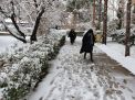 گزارش تصویری از روز 16 آذر اولین برف در دانشگاه شاهرود