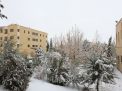 گزارش تصویری از روز 16 آذر اولین برف در دانشگاه شاهرود