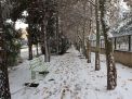 گزارش تصویری از روز 16 آذر اولین برف در دانشگاه شاهرود