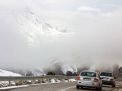 گزارش تصویری از شکوفه های بهاری شاهرود تا قله های برفی چالیچالیان