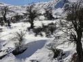 گزارش تصویری  از شاهرود تا جنگل اولنگ
