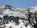 گزارش تصویری  از شاهرود تا جنگل اولنگ