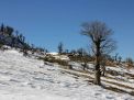 گزارش تصویری  از شاهرود تا جنگل اولنگ