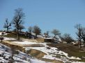 گزارش تصویری  از شاهرود تا جنگل اولنگ