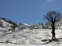 گزارش تصویری  از شاهرود تا جنگل اولنگ