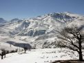 گزارش تصویری  از شاهرود تا جنگل اولنگ