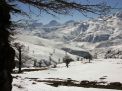 گزارش تصویری  از شاهرود تا جنگل اولنگ