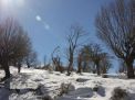 گزارش تصویری  از شاهرود تا جنگل اولنگ