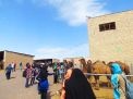 اردوی دانشجویان دختر دانشگاه صنعتی شاهرود به طرود