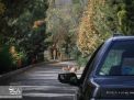 گزارش تصویری | بازدید پرفسور خاقانی از  دانشگاه صنعتی شاهرود و پردیس آموزشی معدن دانشگاه صنعتی شاهرود 