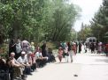 گزارش تصویری از همایش پیاده روی کارکنان در 22 اردیبهشت ماه 