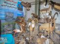 گزارش تصویری | نمایشگاه دستاوردهای چهل‌ساله انقلاب اسلامی ایران- شاهرود 