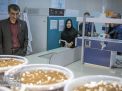 گزارش تصویری | بازدید گروهی مدیران مراکز عضو شبکه آزمایشگاهی از دانشگاه صنعتی شاهرود 