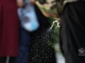 گزارش تصویری آزمون دکتری نهم مرداد ماه1399