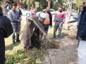 گزارش تصویری مراسم روز درختکاری
