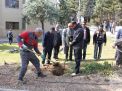 گزارش تصویری مراسم روز درختکاری
