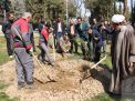 گزارش تصویری مراسم روز درختکاری