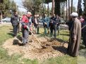 گزارش تصویری مراسم روز درختکاری