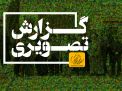 گزارش تصویری مراسم روز درختکاری