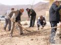 گزارش تصویری مراسم روز درختکاری