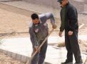 گزارش تصویری مراسم روز درختکاری