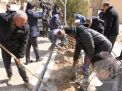 گزارش تصویری مراسم روز درختکاری