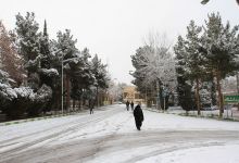 گزارش تصویری از روز 16 آذر اولین برف در دانشگاه شاهرود