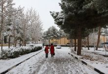 گزارش تصویری از روز 16 آذر اولین برف در دانشگاه شاهرود