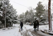 گزارش تصویری از روز 16 آذر اولین برف در دانشگاه شاهرود