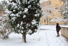 گزارش تصویری از روز 16 آذر اولین برف در دانشگاه شاهرود