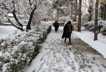گزارش تصویری از روز 16 آذر اولین برف در دانشگاه شاهرود