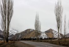 گزارش تصویری از شکوفه های بهاری شاهرود تا قله های برفی چالیچالیان