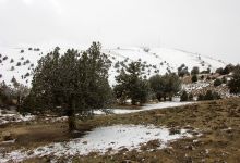 گزارش تصویری از شکوفه های بهاری شاهرود تا قله های برفی چالیچالیان