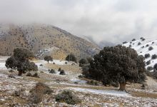 گزارش تصویری از شکوفه های بهاری شاهرود تا قله های برفی چالیچالیان
