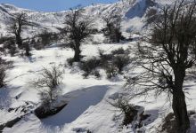 گزارش تصویری  از شاهرود تا جنگل اولنگ