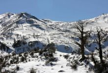 گزارش تصویری  از شاهرود تا جنگل اولنگ