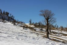 گزارش تصویری  از شاهرود تا جنگل اولنگ