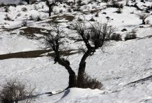 گزارش تصویری  از شاهرود تا جنگل اولنگ