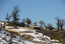گزارش تصویری  از شاهرود تا جنگل اولنگ