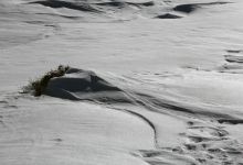 گزارش تصویری  از شاهرود تا جنگل اولنگ