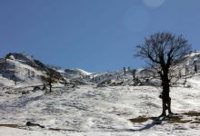 گزارش تصویری  از شاهرود تا جنگل اولنگ