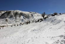 گزارش تصویری  از شاهرود تا جنگل اولنگ