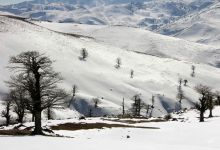 گزارش تصویری  از شاهرود تا جنگل اولنگ