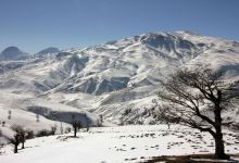 گزارش تصویری  از شاهرود تا جنگل اولنگ
