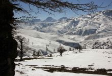 گزارش تصویری  از شاهرود تا جنگل اولنگ