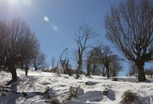 گزارش تصویری  از شاهرود تا جنگل اولنگ