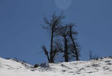 گزارش تصویری  از شاهرود تا جنگل اولنگ