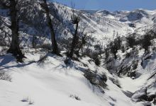 گزارش تصویری  از شاهرود تا جنگل اولنگ